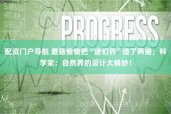 配资门户导航 蘑菇偷偷把“迷幻药”造了两遍，科学家：自然界的设计太精妙！